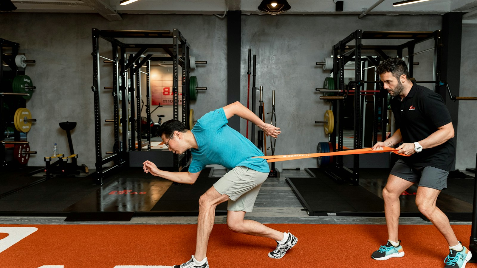 Matriz extracelular muscular: la red que también se adapta al entrenamiento